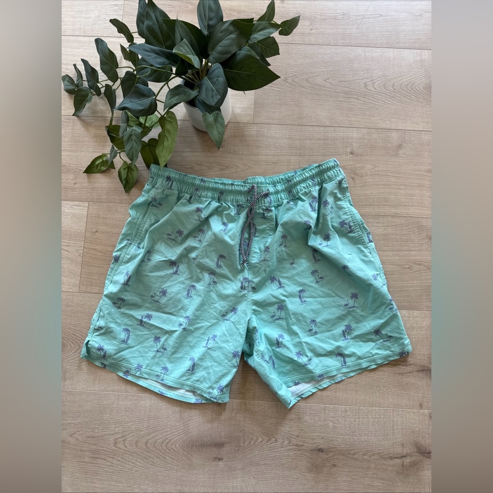 Men’s Color Mint Flamingo Swim Shorts Size XL